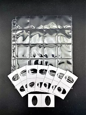 (20) Elongated Penny Cents 2x2 Cardboard Mylar Flips + 1 Binder Storage Page • $6.95