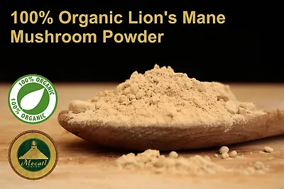 Lion's Mane Mushroom Powder 100% Organic Lions Mane Supplement Brain Nootropic • $521.99