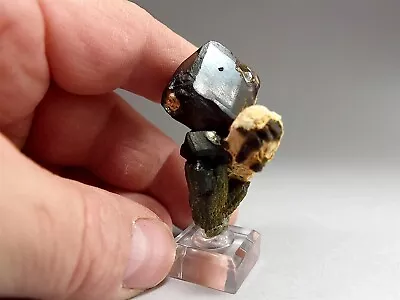 Dark Andradite Garnet Crystal Perched On Green Epidote • $92