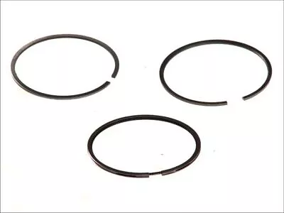 Piston Ring Kit MAHLE 029 55 N0 • $40.82