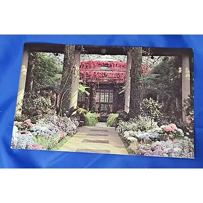 Longwood Gardens Kennett Square Postcard Chrome Divided • $3.25