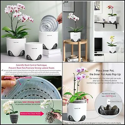 NEW Orchid Pots Holes Pot Plastic Clear 6Inch Pack Flower Planter Plant Ceramic! • $28.34