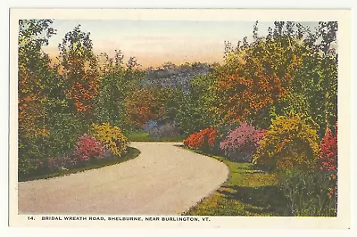 Burlington Vermont 1910s Bridal Wreath Road Shelburne VTG Postcard VTG • $5.98