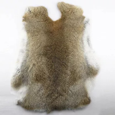 1Pcs Genuine Naturally Rabbit Fur Skin Tanned Leather Hides Craft Gray Pelts Hot • $5.98