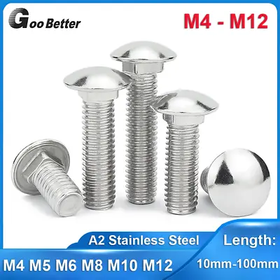 M4 M5 M6 M8 M10 M12 Carriage Cup Square Neck Bolts Screws A2 Stainless Steel • $2.74