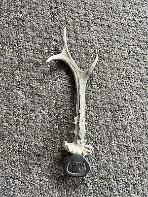 £14.99 • Buy Real Deer Roe Buck Stag Antler Bottle Opener  Bar Unique Gift