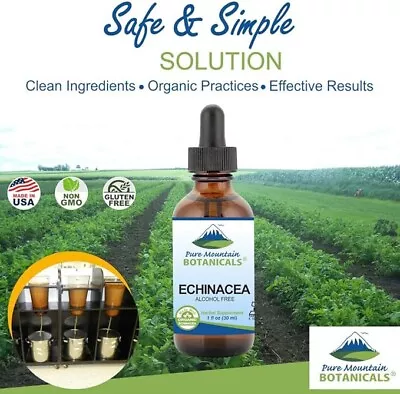 USA Organic Liquid Echinacea Drops Tincture Alcohol Free Extract 500mg Kosher • $17.77