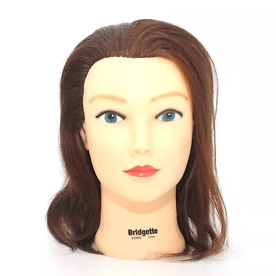 Celebrity Bridgette 100% Human Hair Brown Cosmetology Mannequin Head • $35