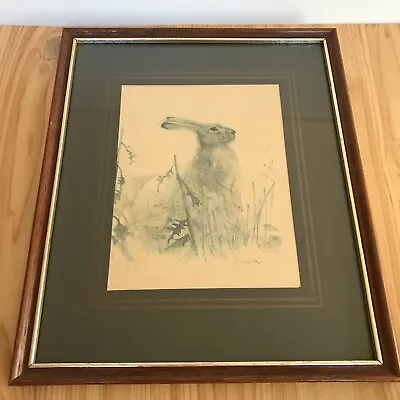 £18.99 • Buy Vintage Framed Mads Stage Art Print Hare Rabbit Signed Danish Artist 27x23cm