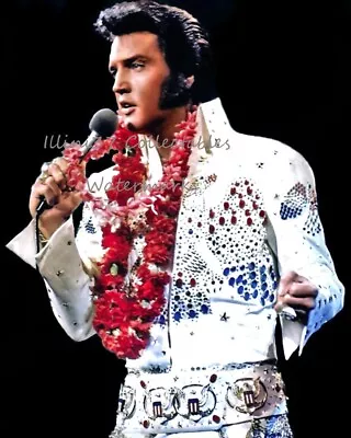 Elvis Presley In Concert Classics Outfit 8x10 PHOTO PRINT • $7.98