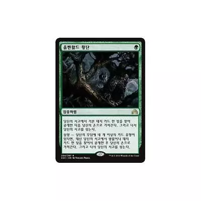 MTG Korean Traverse The Ulvenwald  - Shadows Over Innistrad • $1.85