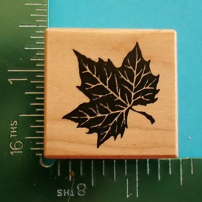 PSX PETITE MAPLE TREE LEAF Rubber Stamp B-1077 #2 • $3.96