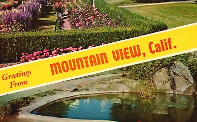 Postcard CA Greetings From Mountain View Garden Pond Chrome Vintage PC H3583 • $4