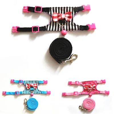 Small Tiny Pet Mouse Rat Bell Clunkclick Harness Lead Black Pink Red Blue • £6.99