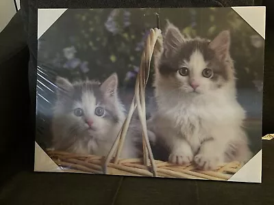 Cute 3d  Moving Kittens In A Basket Picture • £7