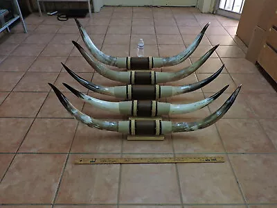 Mounted Steer Bull  Horns 4'-4' 5  Tip To Tip (1 Set) Cow Bull Horns Longhorns • $159