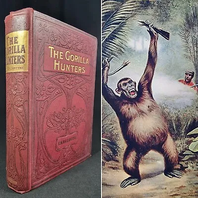 C1920s The Gorilla Hunters By R. M. Ballantyne EIGHT COLOUR PLATES Decorative • £38