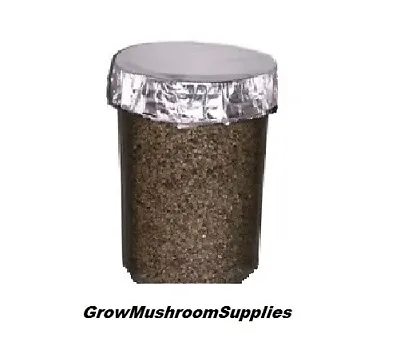1 - Organic Fast Growing Mushroom Substrate Jar PF TEK BRF Sterilized • $20