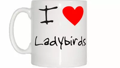 I Love Heart Ladybirds Mug • £6.99