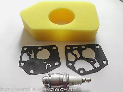 £14.99 • Buy HAYTER Lawnmower Tune Up Kit -  Diaphragm, Air Filter, Spark Plug