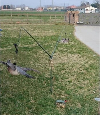 Racchetta Per Colombaccio Armeria Mancini San Marino