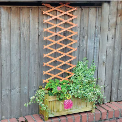 6ft Wooden Garden Trellis Expanding Climbing Plant Support Lattice Fence Panel • £6.99