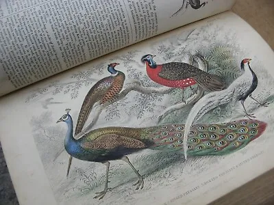 £150 • Buy 1870 A History Of The Earth And Animated Nature- Oliver Goldsmith COLOUR Plates