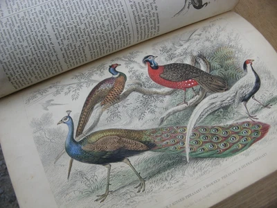 £150 • Buy 1870 A History Of The Earth And Animated Nature- Oliver Goldsmith COLOUR Plates