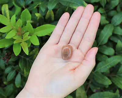 1 Single PEACH Moonstone Tumbled Stone (3/4  - 1 ) Crystal Healing Reiki Tumble • $5.95