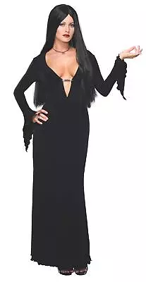 Secret Wishes Women's Addams Family Morticia Costume And Wig Black Small • $17.49