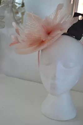 Fascinator IDEAL FOR Races Peachy Pink  Feather Flowers BNWT M&S • £12.99