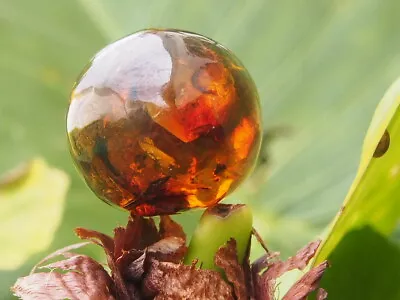 Mexican Amber Sphere 12 G • $36