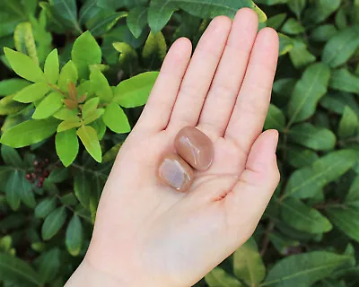 2 PEACH Moonstone Tumbled Stones (3/4  - 1  Crystal Healing Reiki) • $6.50