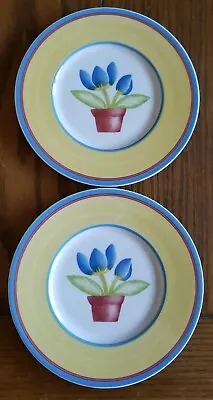 A Pair Of Villeroy & Boch Twist Dora 7 Inch Butter Plates. • $29.99