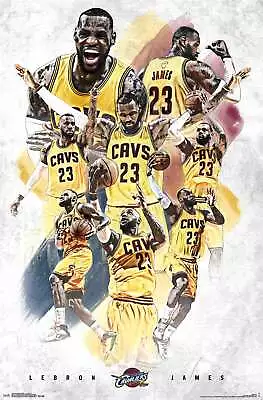 $19.99 • Buy NBA Cleveland Cavaliers - Lebron James Poster