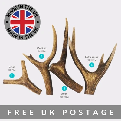 £8.99 • Buy Deer Antler Natural Dog Chew - Small Medium Large XL - Long Lasting - NEW