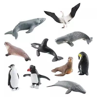 10 Pieces Antarctic Marine Animals Realistic Animals Model Playset Miniatures • $10.86