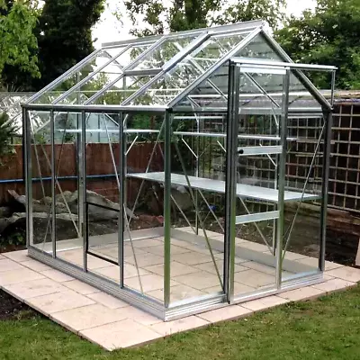 Rhino Classic High Eaves Greenhouse 6' 4 X 8' 5 Toughened 4mm Glass Rhino Bench • £1095