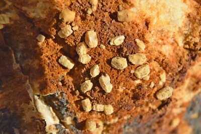 £24 • Buy Wulfenite Crystals From Comb Beck, Buttermere, Cumbria, UK Mineral Specimen