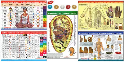 Chakra Ayurvedic Sujok Acu Cun Auricology Ear Charts (Set Of 5) + 5 Rings • $15.99