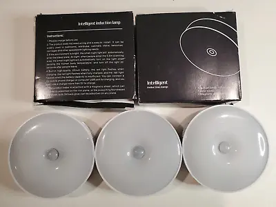 $36.87 • Buy Intelligent Human Body Induction Lamp Night Light Auto Sleep Magnetic  Lot Of 5