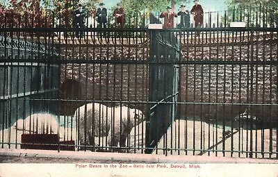 $12.55 • Buy Vintage Postcard 1909 Polar Bears In The Zoo Belle Isle Park Detroit Michigan MI