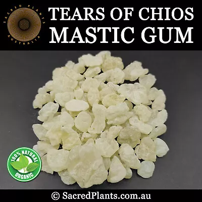 MASTIC GUM Resin 25g Tears Of Chios | Pistacia Lentiscus Sacred Shaman Medicinal • $41