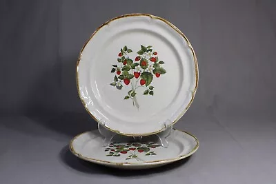 2 INTERNATIONAL Endura Collection 10 3/4  Dinner Plates La Fraise (Strawberry) • $14