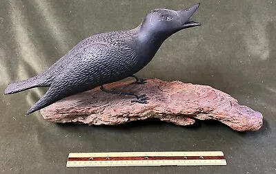 $49.95 • Buy Vintage Folk Art Carved Wood Black Bird On Bark Base With Glass Eyes