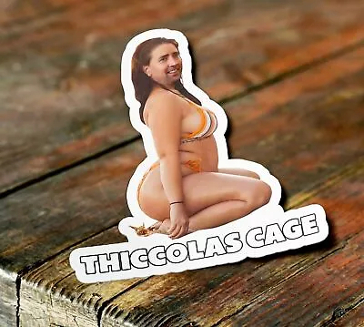 Thiccolas Cage  Thick Nicolas Cage  Funny Thicc Nicolas Meme Sticker Nic Cage • $3