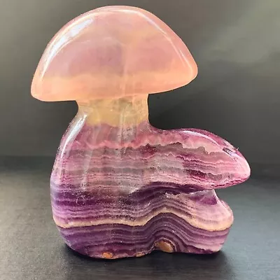 1pc Natural Fluorite Mushroom Quartz Crystal Mushroom Tree Reiki Healing Gem • $0.01