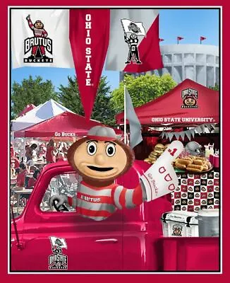 36  X 42  Panel Ohio State University Buckeyes Football Cotton Fabric D351.15 • $11.95