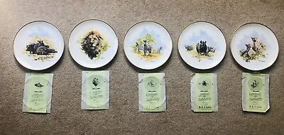 WEDGWOOD THE DAVID SHEPHERD WILDLIFE COLLECTION Set Of 5 Plates. • £35