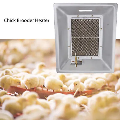 Chick Gas Brooder Heater Manual Infrared Ceramics Catalytic Heating VA • $180.24